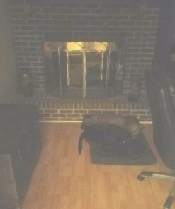 Furhaven Orthopedic Dog Bed for Large/Medium Dogs w/ Removable Washable Cover, For Dogs Up to 55 lbs - Ultra Plush Faux Fur & Suede Mattress - Chocolate, Large Ultra Plush Curly Faux Fur (Chocolate) 36.0"L x 27.0"W x 3.0"Th Orthopedic Foam 40 719htZdIlNL 1