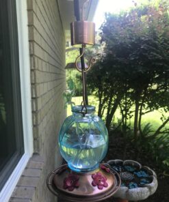 Skinny Ant Moat with Guard for Hummingbird Feeders - Gets Rid of Ants Fast in Nectar Feeder. All Natural & No Chemicals Needed. 49 719i3sfil4L