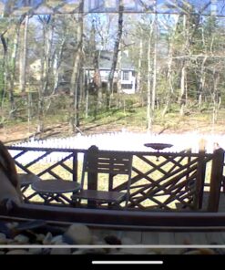 Kaytee Wild Bird Food Nut & Fruit Seed Blend For Cardinals, Chickadees, Nuthatches, Woodpeckers and Other Colorful Songbirds, 5 Pounds 5 Pound (Pack of 1) 34 719iiTleK5L