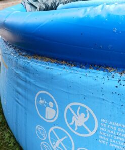 Intex Swimming Pool- Easy Set, 8ft.x30in. n.a. 37 719j1kOzLzL