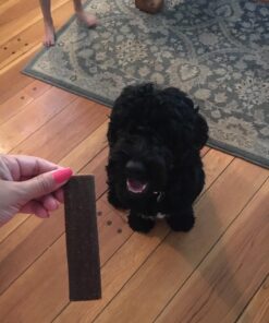 Triumph Dog Turkey, Pea, & Berry Grain Free Jerky, 24-Ounce 1.5 Pound (Pack of 1) 33 719n2N7uPPL