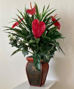 Nearly Natural 6678 Mixed Greens and Anthurium with Vase Decorative Silk Plant, Green 27 719nK4KCtUL