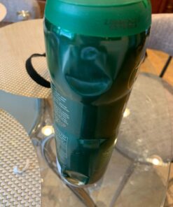 Mint Teisseire Concentrated Mint Syrup for drinks, sodas, and flavoring teas, 600 ml / 20 fl oz., Mint 20.29 Fl Oz (Pack of 1) 23 719pvQnj01L