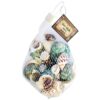 Gathered, by BCI Crafts Sea Shell, Mixed 48 719q6aZ0XsL