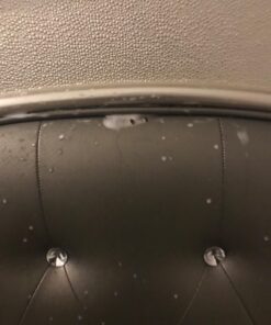 Ortho Home Defense Dual-Action Bed Bug Killer Aerosol, 18 oz. 1.13 Pound (Pack of 1) 15 719sNw PyiL