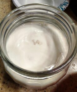Live Milk Kefir Grains - Live Probiotic Culture 35 719tdLFKCPL