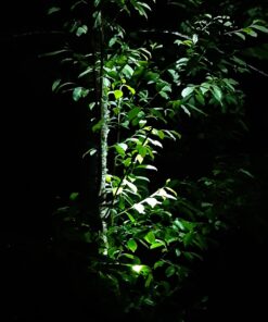 URPOWER Solar Lights Outdoor, Adjustable Solar Spot Lights Outdoor, 2-in-1 Waterproof Solar Landscape Spotlights Wall Light, Dusk-to-Dawn Solar Powered Outdoor Light for Garden, Yard, Pathway (2 Pack) 2 Pack Cool White 56 719wscQaY3L