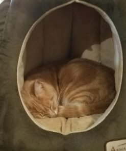 Armarkat Cat Bed, Laurel Green and Beige 38 719xAb7rDZL