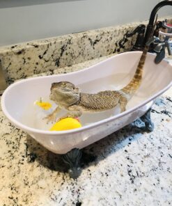 Sophia's Classic White Clawfoot Bathtub with Handheld Shower Head and Faucet Furniture Set for 18" Dolls, White/Silver 31 71A0QktW5fL