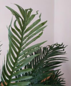 Nearly Natural 5263-0308 56in. Areca Palm Silk Tree with Basket, Green,30" x 32" x 56" 43 71A0gnRIWL
