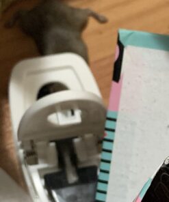 Tomcat Press 'N Set Mouse Trap, Plastic, Spring-Loaded Mouse Killer with Grab-Tab, 2 Traps Mouse Traps (2 Traps) 51 71A2 SfJT2L