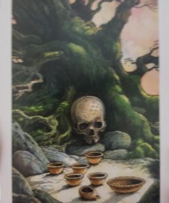 The Wildwood Tarot Deck: Wherein Wisdom Resides (Modern Tarot Library) 82 71A2L0n7JTL