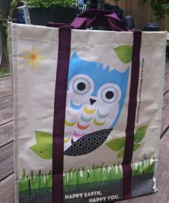 EcoJeannie 1 Pack Super Strong X-Large Laminated Woven Reusable Shopping Tote Bag (Avail: Set of 1,2,3,4,5 Bags), Free Standing, Recycled Plastic w/Bottom Board & Reinforced Nylon Handle - WT0001 1 Bag 27 71A2Loe1wDL