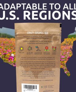 Cosmos Seeds Wildflower Mixture - Bulk Quarter Pound Bag - Over 20,000 Seeds - Pink, Yellow, Orange, Red, Purple and White Mixed Species! 1/4 Pound Bag 23 71A2cH1O yL