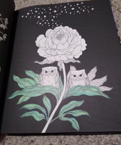 Nightfall Coloring Book: Originally Published in Sweden as "Skymningstimman" 47 71A2ljYp0yL