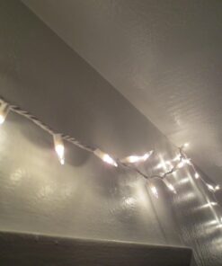 Everglow 2980-22 100 Clear White Wire Light Set Indoor String Lights 24 71A4fdAcA4L