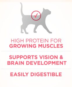 Purina ONE High Protein, Natural Dry Kitten Food, +Plus Healthy Kitten Formula - 16 lb. Bag Dry Food Chicken 16.00 Pound (Pack of 1) 26 71A5 s6cSvS