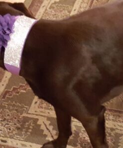 QandSweet Baby Girl Headbands with Polygonal Flower Inlay Rhinestone for Photography (Styles of 9) Styles of 9 29 71A5SmdfB4L