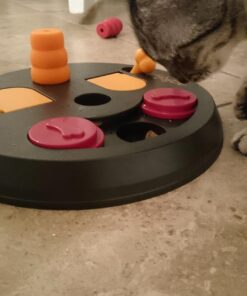 TRIXIE Flip Board Strategy Game, Intermediate Dog Puzzle Toy, Level 2 Activity, Treat Puzzle, Interactive Play, Enrichment Level 2 (Intermediate) 29 71A5WQoIaML