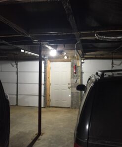 Philips LED Non-Dimmable A19 Frosted Light Bulb: 1500-Lumen, 5000-Kelvin, 14-Watt (100-Watt Equivalent), E26 Medium Screw Base, Daylight, 4-Pack, 455717 4 Count (Pack of 1) 100-Watt Equivalent 35 71A6pJzTiHL