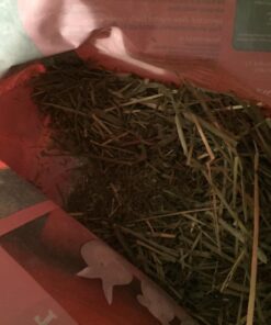 Oxbow Animal Health Western Timothy Hay- Veterinarian Recommended- Hay for Rabbits, Chinchillas, Guinea Pigs & Other Small Pets- Grown in the USA- Premium Quality Natural Hay- Fiber Rich- 40 Oz 2.5 Pound (Pack of 1) 49 71AA0zSvUaL