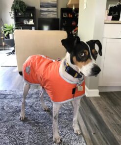 Zack & Zoey Nor'easter Blanket Coat for Dogs, 20" Large, Orange 1 L (Neck: 17", Girth: 28", Back: 20") 45 71AC7wtxqGL 3