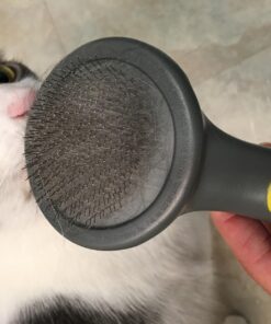 JW Petmate GripSoft Cat Brush, White & Blue, One Size 22 71AFImuubBL