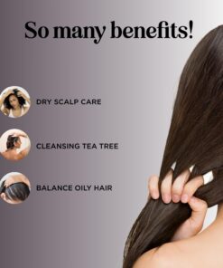 Tea Tree Shampoo for Oily Hair - Paraben and Sulfate Free Clarifying Shampoo for Build Up and Dry Scalp with Tea Tree Oil for Hair - Purifying Aromatherapy Tea Tree Oil Shampoo for Greasy Hair 17 71AGfgvf6gL
