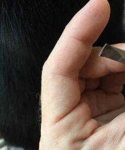 DEWALT Screwdriver Bit Set with Tough Case, 45-Piece (DW2166),Grey/Silver Screwdriving Set With Tough Case 45-Piece Screwdriving Set 39 71ALdGuzPSL