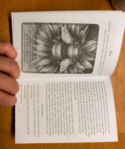 Spirit of the Animals Oracle 72 71AOqKSs7vL