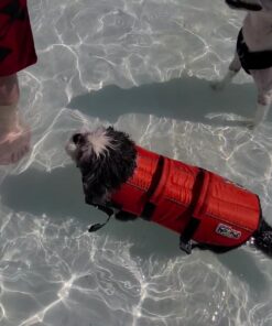 Outward Hound Granby Splash Orange Dog Life Jacket, Medium Granby (Flotation) Medium (Chest Girth: 21"-27") 41 71AQl1lorrL