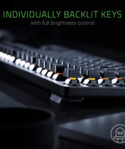 Razer BlackWidow Lite TKL Tenkeyless Mechanical Keyboard : Orange Key Switches - Tactile & Silent - White Individual Key Lighting - Compact Design - Detachable Cable - Classic Black Orange Switches - Tactile & Silent 34 71AQtvXgTQL