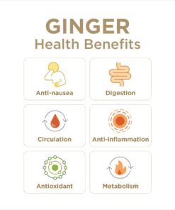 GIN GINS® Original Chewy Ginger Candy by The Ginger People® - Anti-Nausea and Digestion Aid, Individually Wrapped Healthy Candy - Original Ginger Flavor, Large 1 lb Bag (16oz) - Pack of 1 20 71AR9uXKTtL