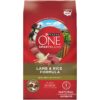 Purina ONE Dry Dog Food Lamb and Rice Formula - 31.1 lb. Bag Dry Food Lamb & Rice 31.10 Pound (Pack of 1) 29 71ARAdkzz0L