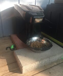 PetSafe Healthy Pet Simply Feed - Automatic - Headquartered in Knoxville, TN - Automatic Dog Feeder from the Engineers of the Smart Feed & Dancing Dot - 1-Year Comprehensive Protection Plan,Black 44 71ATWdcO5fL