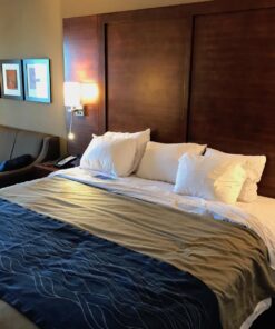 Philips LED Basic Frosted Non-Dimmable A19 Light Bulb - EyeComfort Technology - 1500 Lumen – Soft White (2700K) – 14W=100W - E26 Base - Old Version - Indoor - 8-Pack Soft White (2700k) 8 Count (Pack of 1) Basic LED (Old Version) 100W 25 71AWWDSCvbL