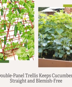 Gardeners Supply Company Deluxe Cucumber Trellis | Easy to Install Raised Garden Bed Cucumbers & Climbing Plants A-Frame Trellis | Outdoor Plant Support w/ 4" Grids for Easy Harvesting | 32"W x 46"H 14 71AYul8ucpL
