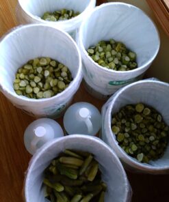 5 Gallon Bucket Liner Bags for Marinading and Brining - Durable, Food Grade, BPA Free, 25/Roll 14 71AZJmrfpYL