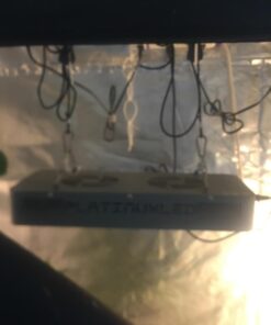 iPower 48"x24"x60" Grow Tent with Observation Window and Removable Floor Tray, Tool Bag for Indoor, 24" x 48" x 60", Black/Silver 24" x 48" x 60" 32 71AcPvs239L