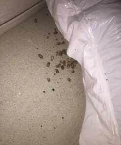 CookinPellets 40H BBQ pellets, Brown Hickory 28 71Ak16zJ3rL