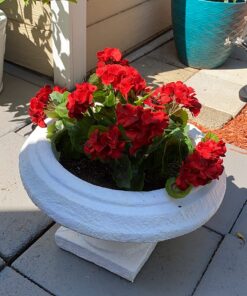 Nearly Natural Bougainvillea Basket Silk 1 Artificial Hanging Plant, 32 x 32 x 24, Green, Pink 41 71Ak69I3b2L