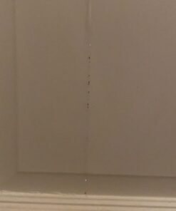 Flex Seal, 14 oz, 2-Pack, Clear, Stop Leaks Instantly, Transparent Waterproof Rubber Spray On Sealant Coating, Perfect for Gutters, Wood, RV, Campers, Roof Repair, Skylights, Windows, and More 31 71AkjbdT5JL