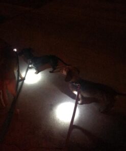 Small Dog Light - Dog Collar Light - Bubbas Leash Light - 2 Per Pack - Dog Walks & Backyard Monitoring. Attaches to Leash, Dog Collar, Harness. Small & Large Dogs. (Stealth Black) Bubba's Leash Light 44 71AovdyDcnL