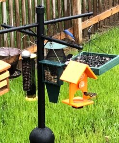 Songbird Essentials Bird Berry Jelly 20 Oz Purple 21 71ArKo8fjPL