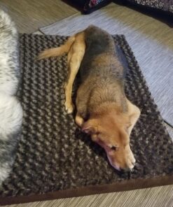 Furhaven Orthopedic Dog Bed for Large Dogs w/ Removable Washable Cover, For Dogs Up to 95 lbs - Ultra Plush Faux Fur & Suede Mattress - Chocolate, Jumbo/XL Ultra Plush Curly Faux Fur (Chocolate) 40.0"L x 32.0"W x 4.0"Th Orthopedic Foam 39 71Arq U8dzL 1