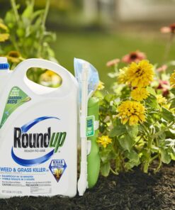 Roundup Ready-To-Use Weed & Grass Killer III -- with Sure Shot Wand, Use in & Around Vegetable Gardens, Tree Rings, Flower Beds, Patios & More, Kills to the Root, 1.33 gal. 25 71AuwkgVxqL 2