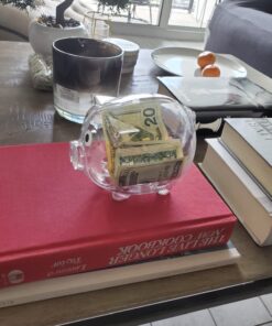 Windy City Novelties Small Educational Kids Clear Plastic Piggy Banks 38 71Av2 gGyyL