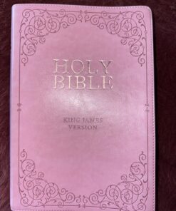 KJV Holy Bible, Giant Print Standard Size Faux Leather Red Letter Edition - Thumb Index & Ribbon Marker, King James Version, Dark Brown 56 71Aygvn8iyL