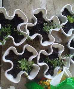 Miracle-Gro 75052430 All-Purpose Garden Soil, 2 CF 27 71Az3m7cHZL