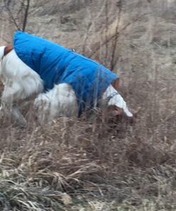 Kurgo Loft Dog Jacket, Reversible Dog Coat, Wear with Harness or Sweater, Water Resistant, Reflective, Winter Coat For Large Dogs (Coastal Blue, XL) Extra Large Coastal Blue/Orange 77 71B uWotxcL